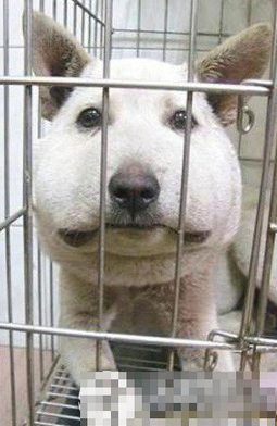 undefined{{pos:,w:,h:}}