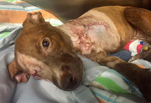 undefined{{pos:,w:,h:}}