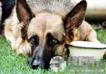 undefined{{pos:,w:,h:}}