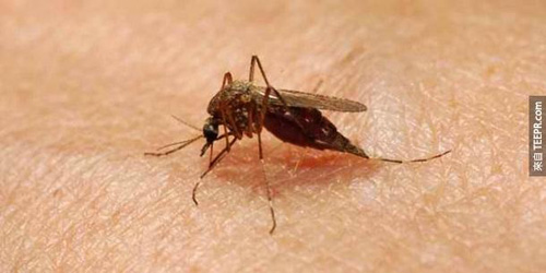 undefined{{pos:,w:,h:}}