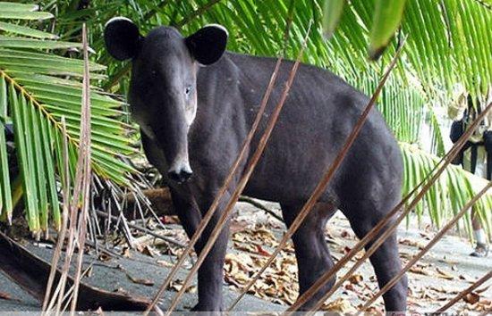 undefined{{pos:,w:,h:}}