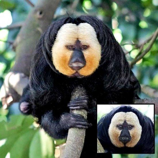 undefined{{pos:,w:,h:}}