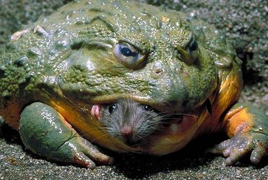 undefined{{pos:,w:,h:}}