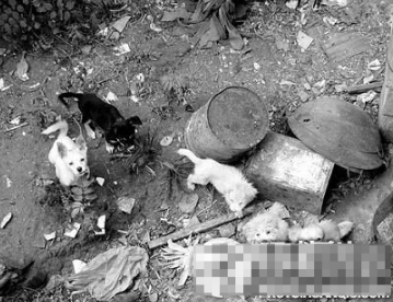 undefined{{pos:,w:,h:}}