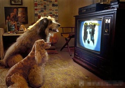 undefined{{pos:,w:,h:}}