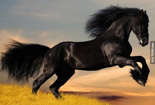 undefined{{pos:,w:,h:}}