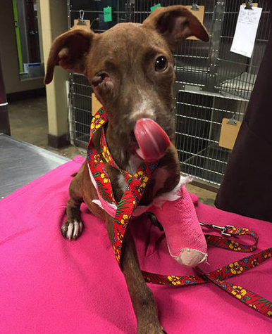 undefined{{pos:,w:,h:}}