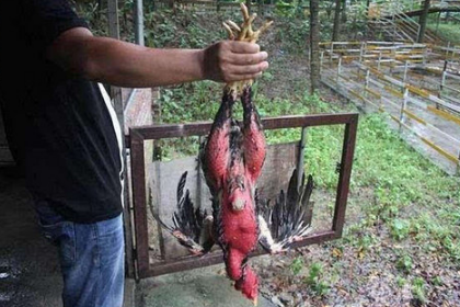 undefined{{pos:,w:,h:}}