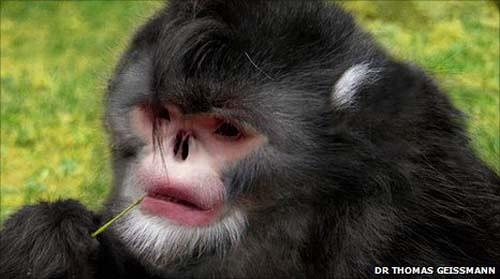 undefined{{pos:,w:,h:}}