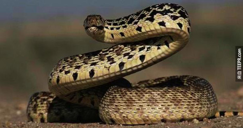 undefined{{pos:,w:,h:}}