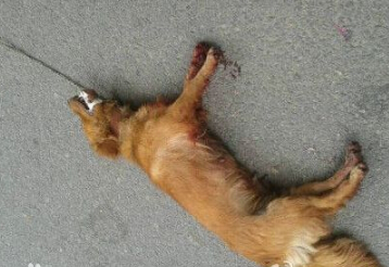 undefined{{pos:,w:,h:}}