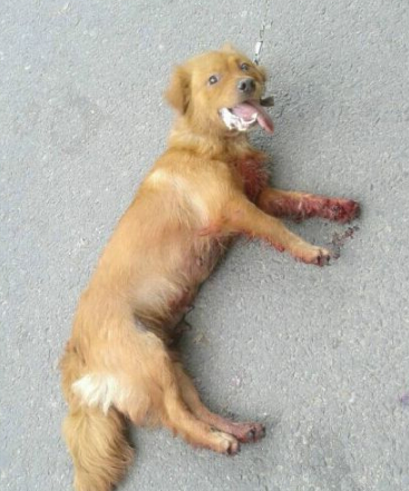 undefined{{pos:,w:,h:}}