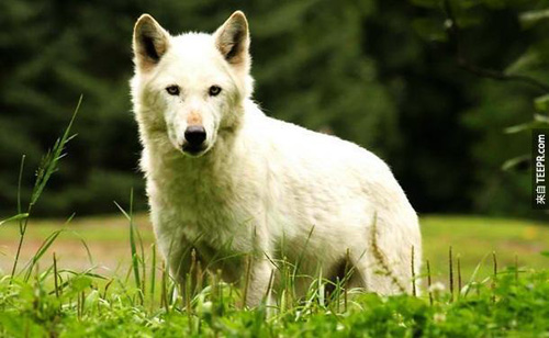 undefined{{pos:,w:,h:}}