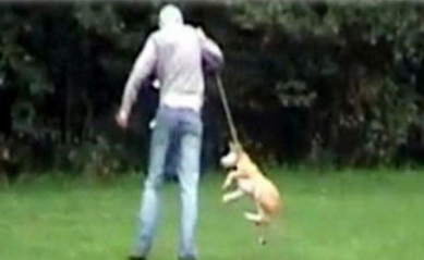 undefined{{pos:,w:,h:}}