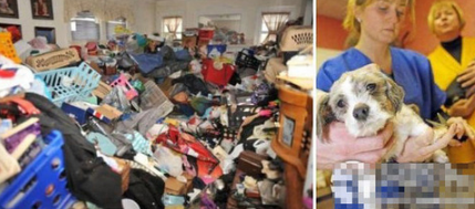 undefined{{pos:,w:,h:}}