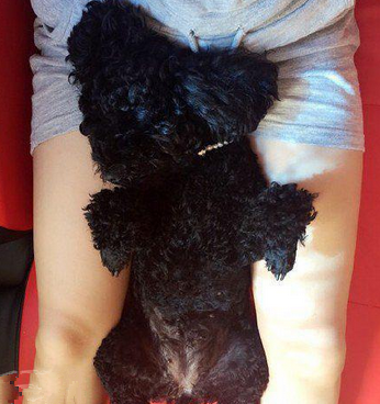 就喜欢睡在温暖的地方