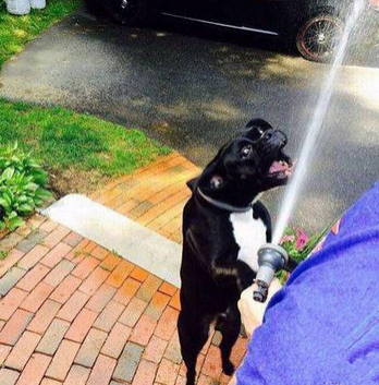 给我喝一口水啊