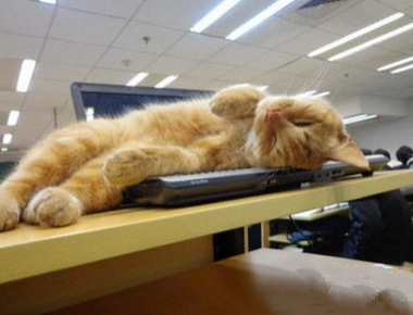 这里才是最暖和的