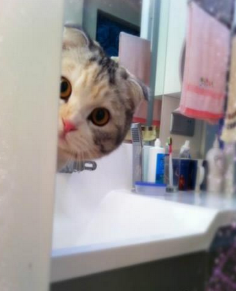 我知道你在偷看我