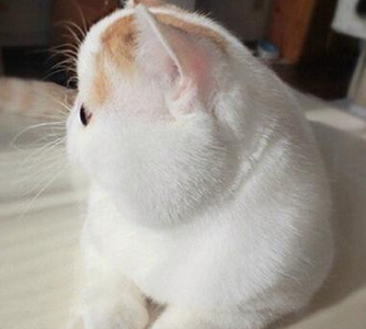 是谁说的拍照拍侧脸显瘦