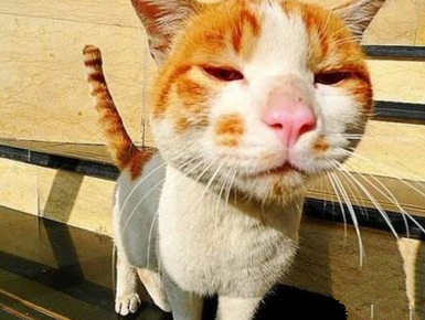 OK了，你拍吧！