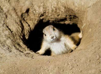 你快拉我一把呀，我腿短