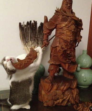 关二爷，饶命啊