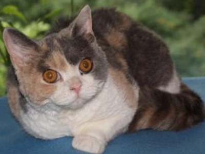 undefined{{pos:,w:,h:}}