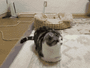 不行，我得起来打个哈欠