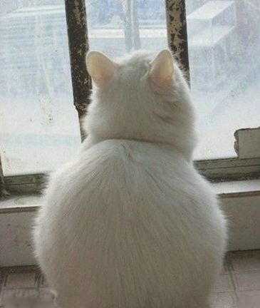 经常坐着屁股真的会变大，不信你看