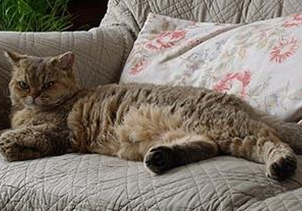 undefined{{pos:,w:,h:}}