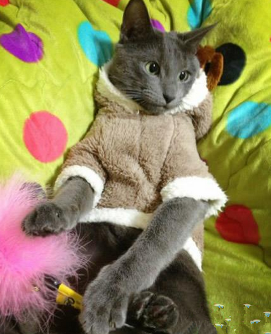 卡其色不衬肤色，但显气质呐