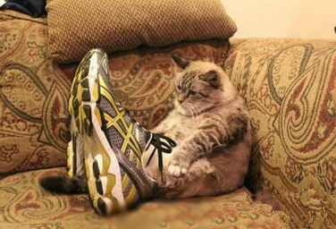 网购果然会失误