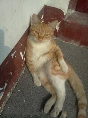 亲，偶尔你也配合一下呀