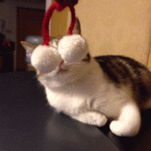 我讨厌这个东西