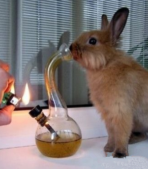 我抽我抽我抽抽抽抽