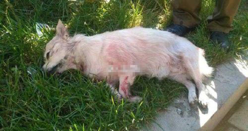 undefined{{pos:,w:,h:}}