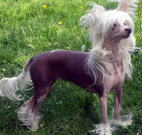 undefined{{pos:,w:,h:}}