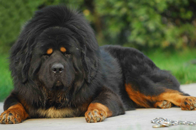 undefined{{pos:,w:,h:}}