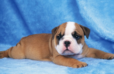 undefined{{pos:,w:,h:}}