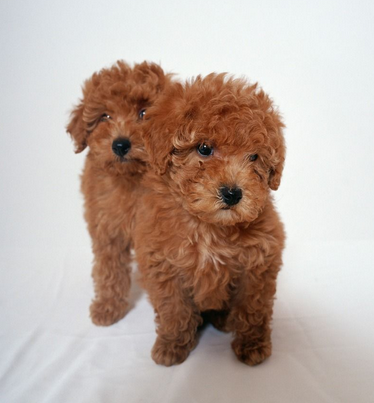 undefined{{pos:,w:,h:}}