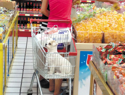 undefined{{pos:,w:,h:}}