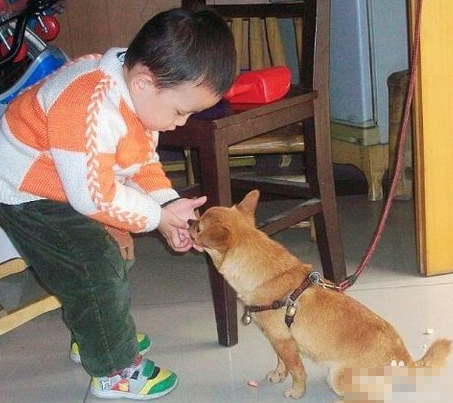 undefined{{pos:,w:,h:}}