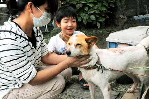 undefined{{pos:,w:,h:}}