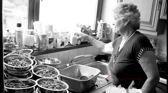 undefined{{pos:,w:,h:}}