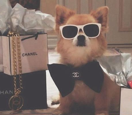 undefined{{pos:,w:,h:}}