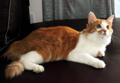 undefined{{pos:,w:,h:}}