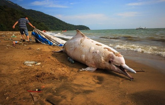 undefined{{pos:,w:,h:}}