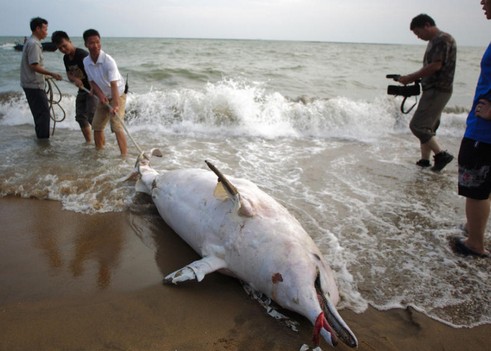 undefined{{pos:,w:,h:}}