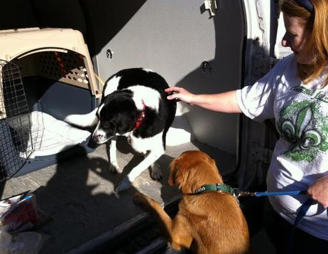 undefined{{pos:,w:,h:}}